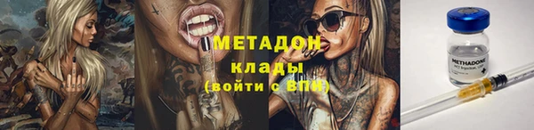 трава Аркадак
