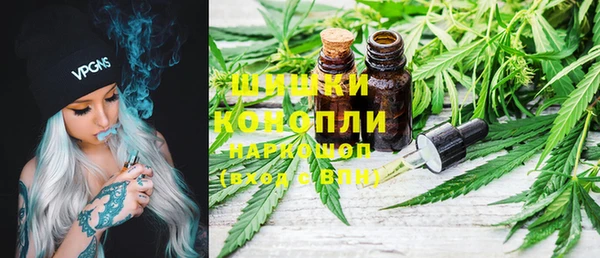 трава Аркадак
