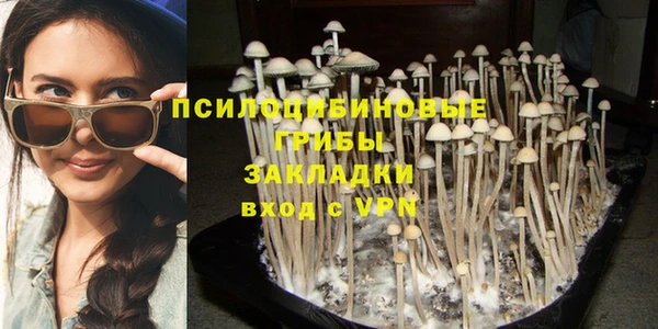 соль ск Армянск