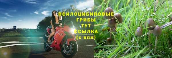 тгк Арсеньев