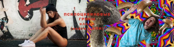 тгк Арсеньев